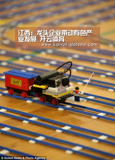 江西:龙头企业带动有色产业发展_开云体育(图1) 开云赛事