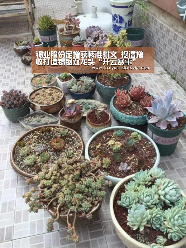 开云足球