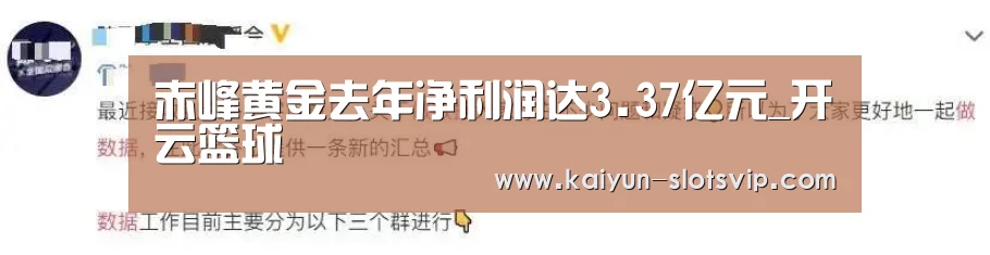 赤峰黄金去年净利润达3.37亿元_开云篮球(图3) 开云体育