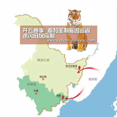 开云足球