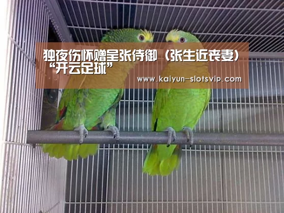 独夜伤怀赠呈张侍御(张生近丧妻)“开云足球”(图2) 开云赛事