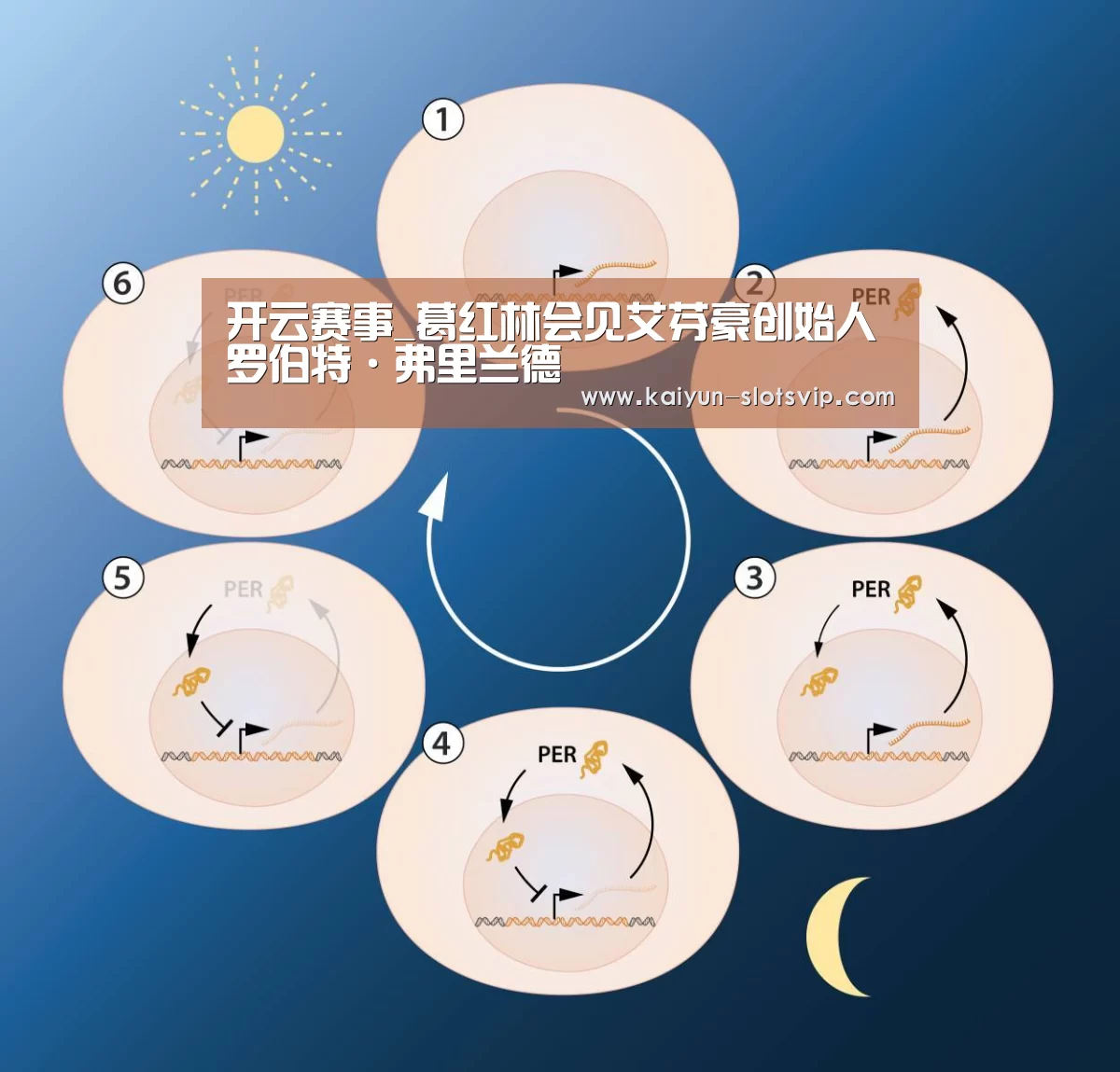 开云赛事_葛红林会见艾芬豪创始人罗伯特·弗里兰德(图1) 开云足球