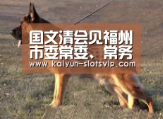 国文清会见福州市委常委、常务副市长林飞【开云足球】(图1) 开云篮球