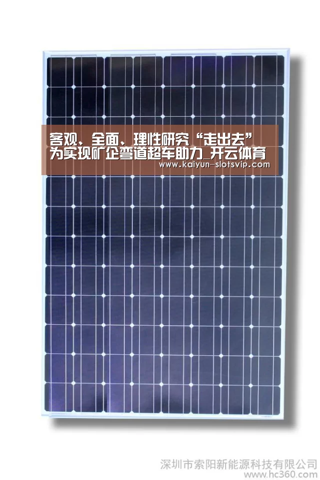 客观、全面、理性研究“走出去” 为实现矿企弯道超车助力_开云体育(图3) 开云足球