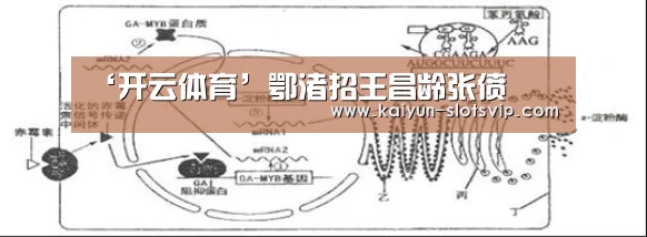 ‘开云体育’鄂渚招王昌龄张偾(图1) 开云体育