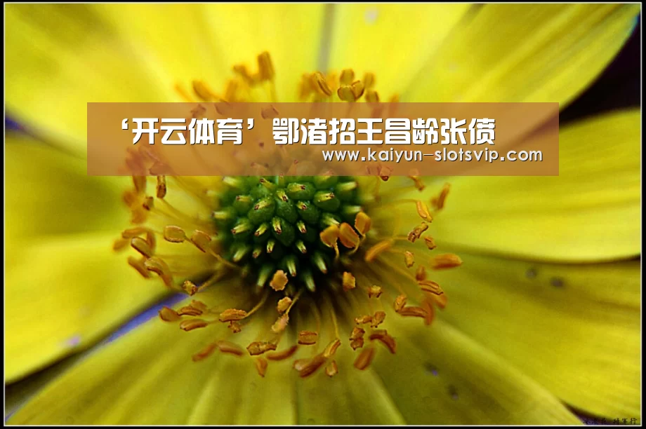 ‘开云体育’鄂渚招王昌龄张偾(图3) 开云赛事