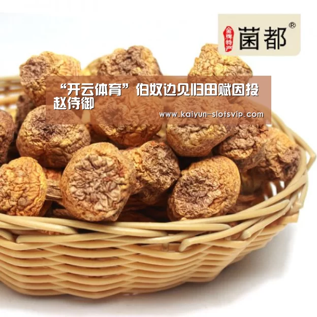 “开云体育”伯奴边见归田赋因投赵侍御(图1) 开云赛事